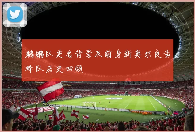 鹈鹕队更名背景及前身新奥尔良黄蜂队历史回顾