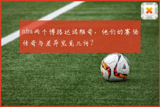 nba两个博格达诺维奇，他们的赛场传奇与差异究竟几何？