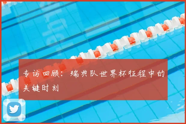 专访回顾：瑞典队世界杯征程中的关键时刻